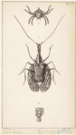 Image ID 806387