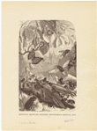 Image ID 806393