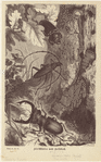 Image ID 806395