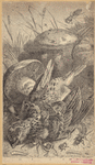 Image ID 806398