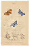 Image ID 806426