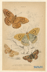 Image ID 806428