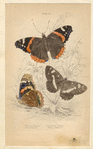 Image ID 806432