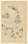 Image ID 806434