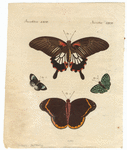 Image ID 806446