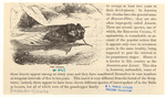 Image ID 806459
