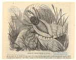 Image ID 806460