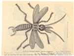 Image ID 806465