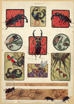 Image ID 806470