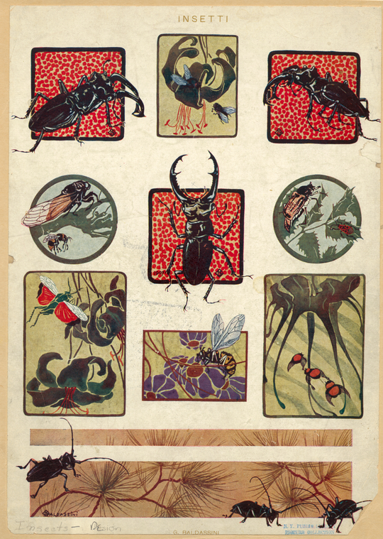 Image ID 806470
