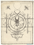 Image ID 806478