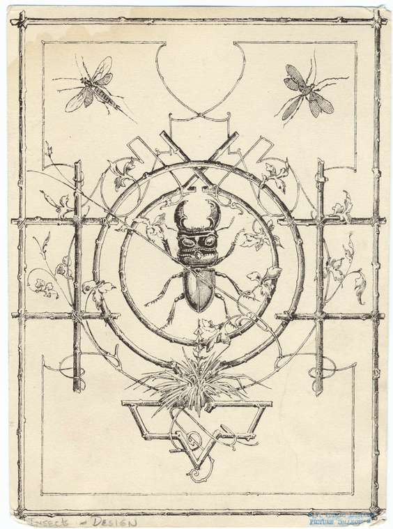 Image ID 806478
