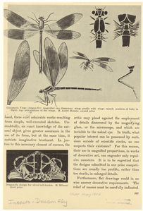Image ID 806486