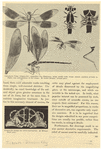 Image ID 806486
