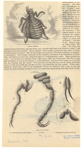 Image ID 806488