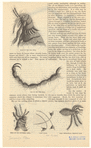 Image ID 806490