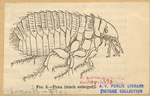 Image ID 806492