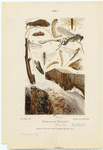 Image ID 806495