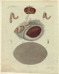 Image ID 806497