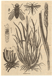 Image ID 806498