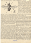Image ID 806505