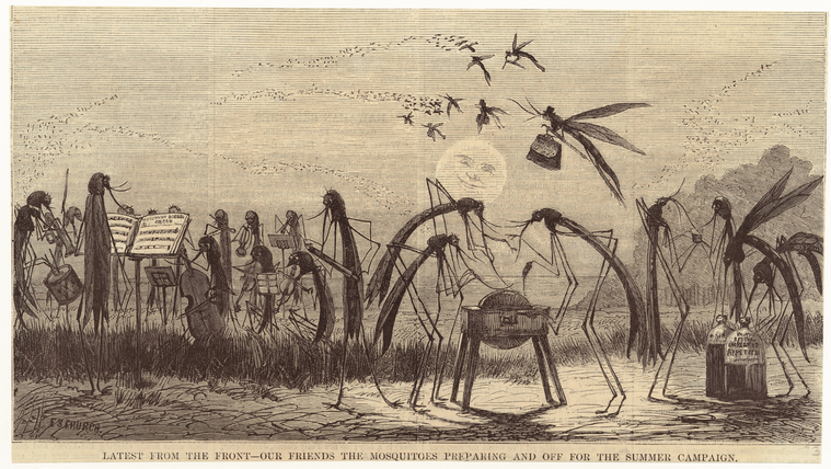 Image ID 806508
