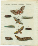 Image ID 806514