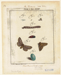 Image ID 806527