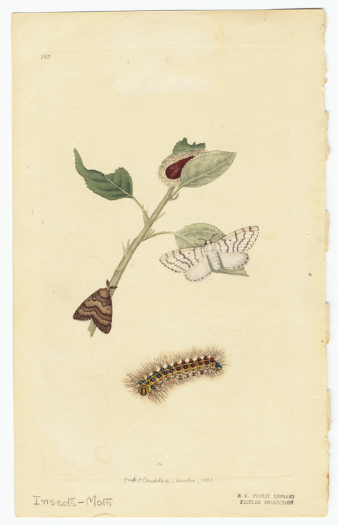 Image ID 806538
