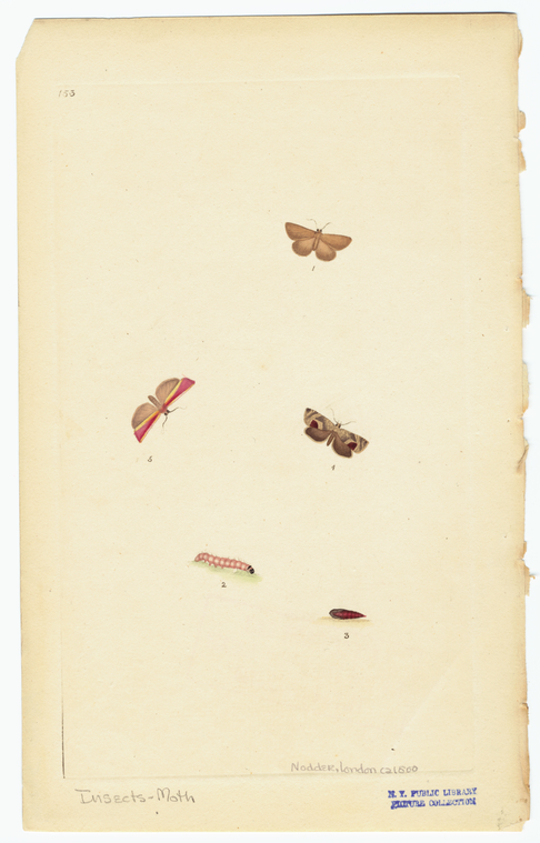 Image ID 806541
