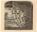 Image ID 806580