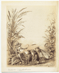 Image ID 806585