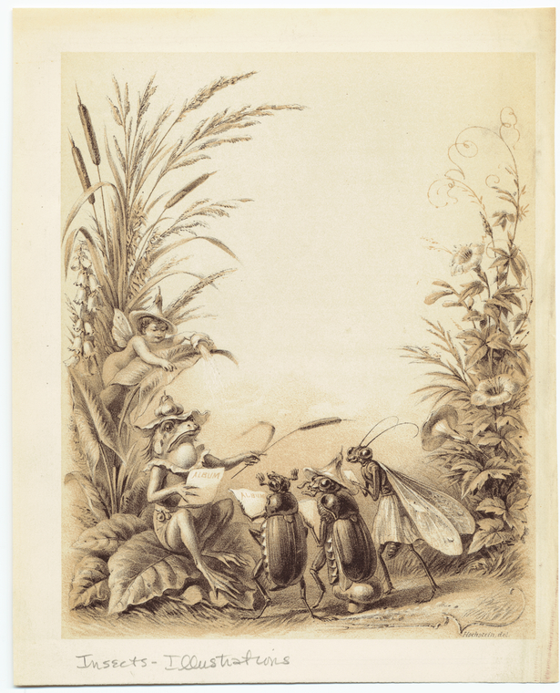 Image ID 806585
