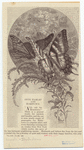 Image ID 806586