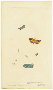 Image ID 806590