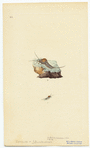 Image ID 806593