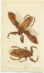 Image ID 806596