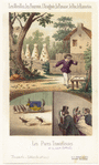Image ID 806597