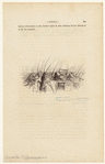 Image ID 806599
