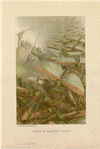 Image ID 806608