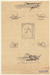 Image ID 806611