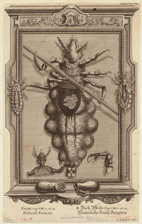 Image ID 806621
