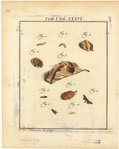 Image ID 806635