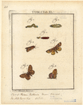Image ID 806636