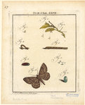 Image ID 806643