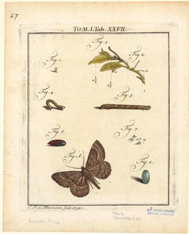 Image ID 806643
