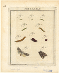Image ID 806645