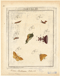 Image ID 806649