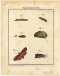 Image ID 806652