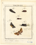 Image ID 806653